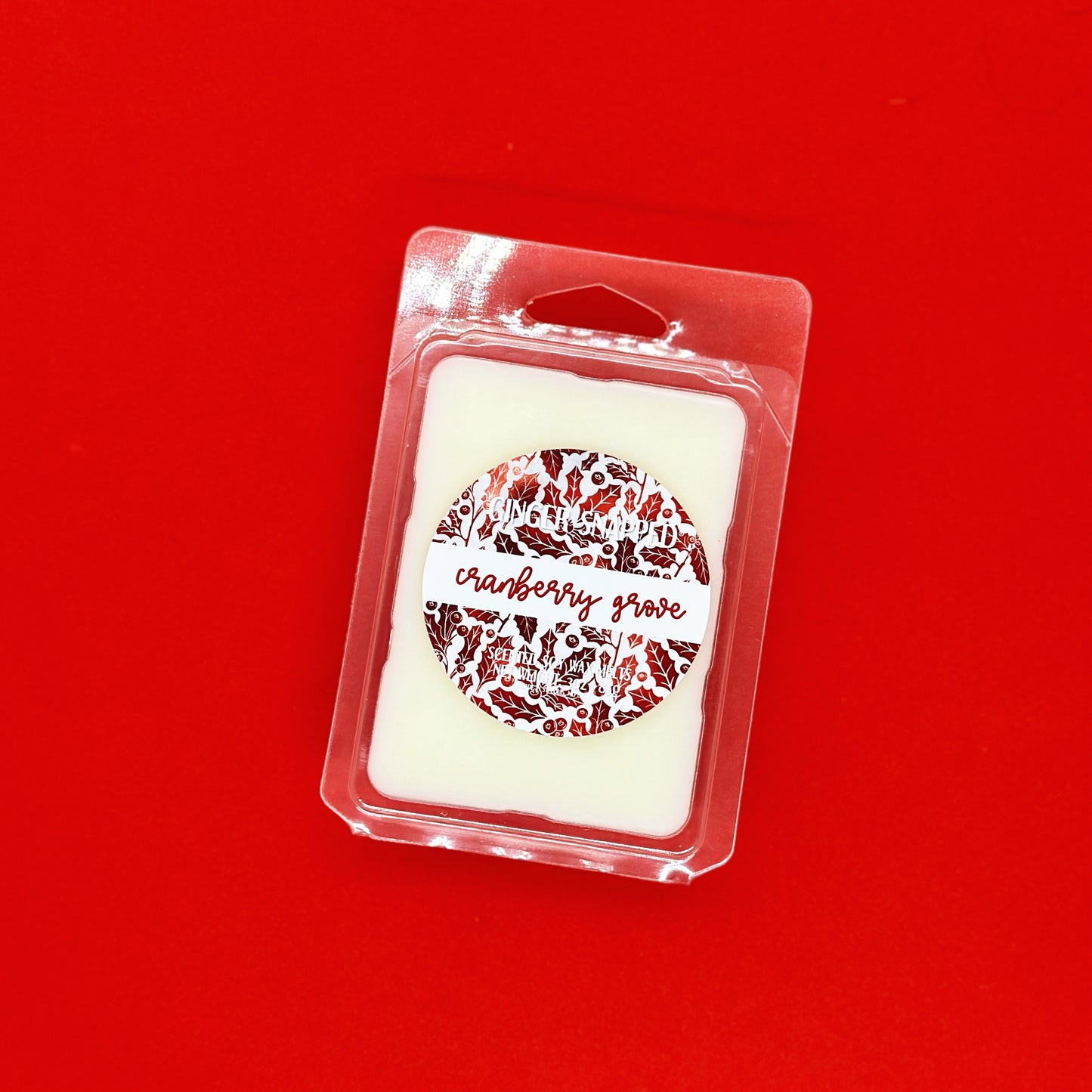 HOLIDAY 2024 🎅 | Seasonal Soy Wax Melts