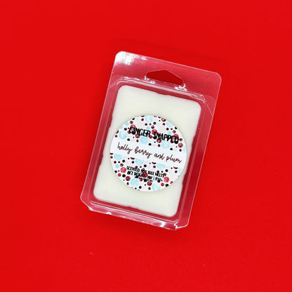 HOLIDAY 2024 🎅 | Seasonal Soy Wax Melts