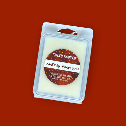 FALL COLLECTION 🍂 | Seasonal Soy Wax Melts