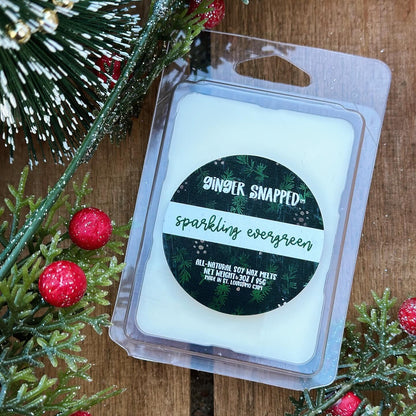 STUDIO CLEARANCE SALE | Holiday Inspired 🎅🎁🎄 Soy Wax Melts